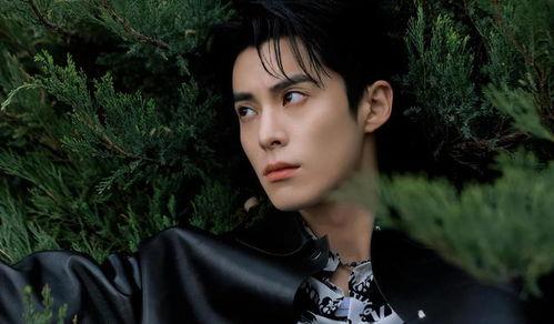 娱乐圈吃瓜爆料白鹿王鹤棣,甜蜜互动引粉丝热议